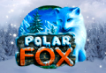 Polar Fox