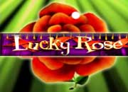 Lucky Rose