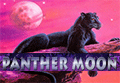 Panther Moon